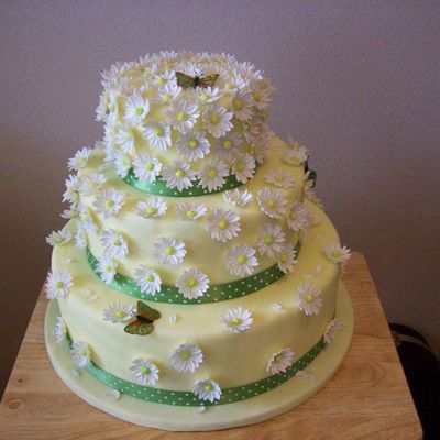 I Call It The Martha Daisy Cake