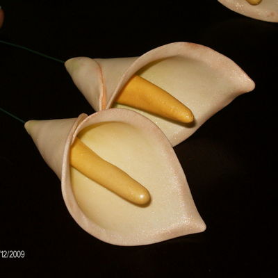 Calla Lillies