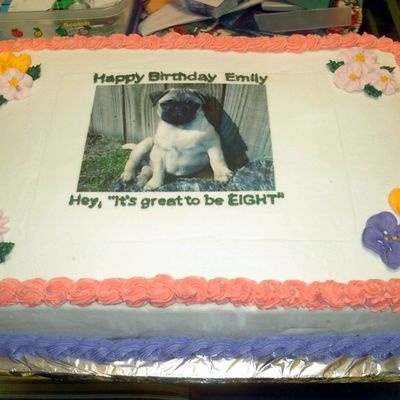 Birthday Cake With Picture Of Pet