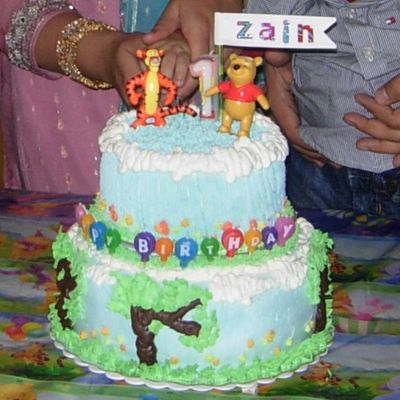 My Babys First Birthday