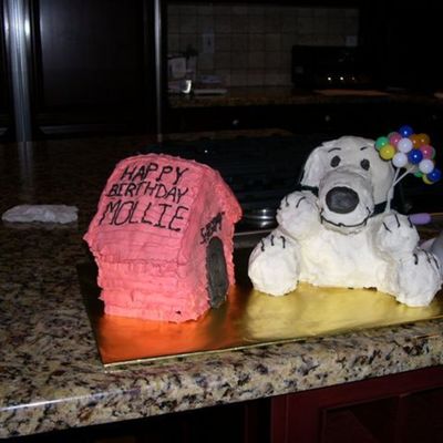 Snoopy And His Dog House