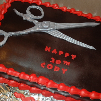 Shears For Hair Stylist