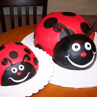 Lady Bugs