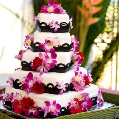The Cake That Killed Me