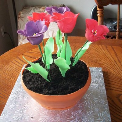 Lori's Tulips