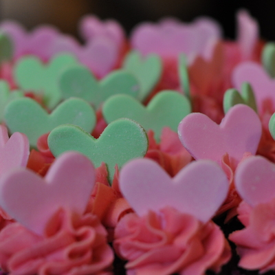 Chocolate Cupcakes