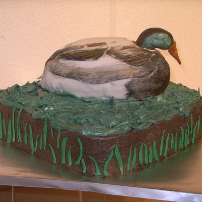 Mallard Duck