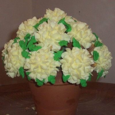 Cupcake Bouquet