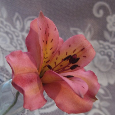 Alstroemeria