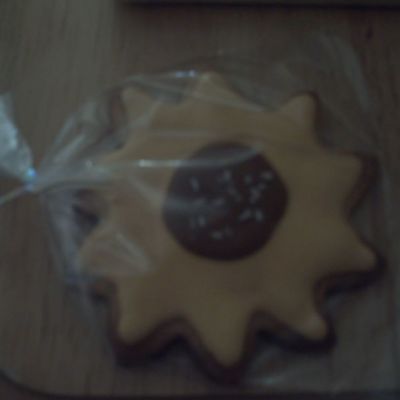 Galletas De Girasol