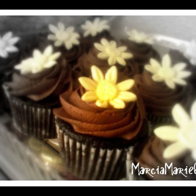 Chocolate Daisy Cupcake