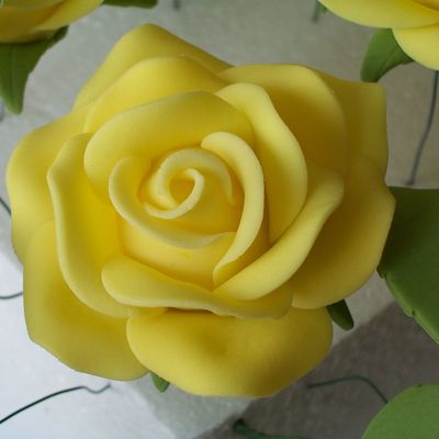 My First Attempt To Real Like Roses