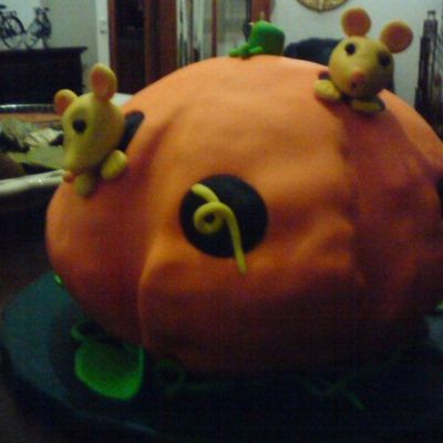 Pumpkin