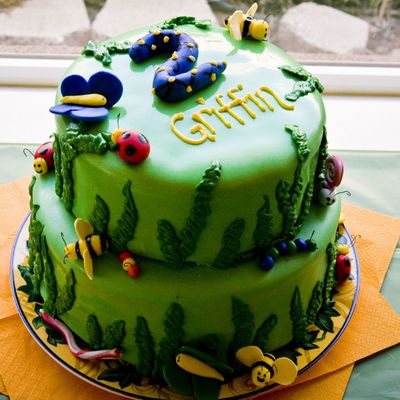 Bug Cake