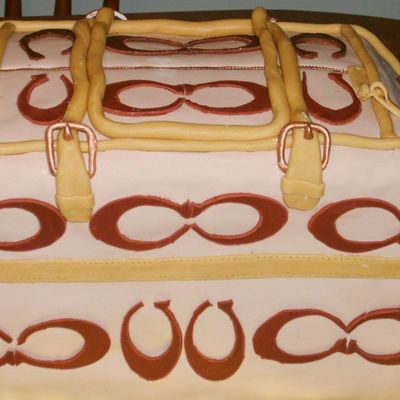 Coach Purse Cake