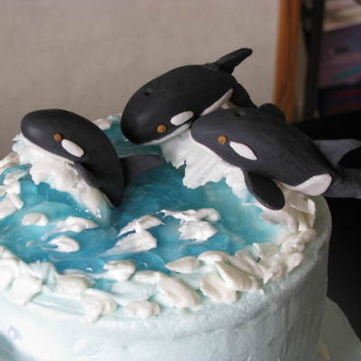 Orcas