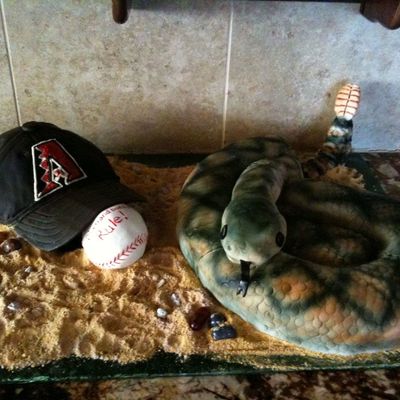 Diamondback Team Cake