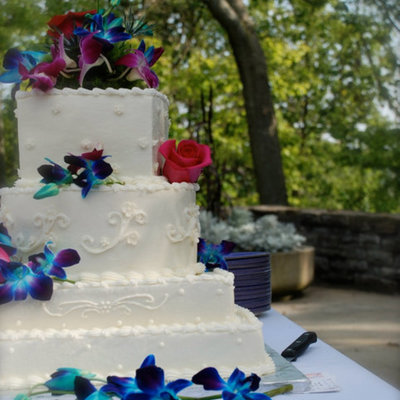 Audra's Wedding Cake