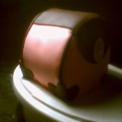 Mom's Purse (Side View)