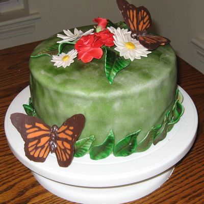 Butterfly Cake