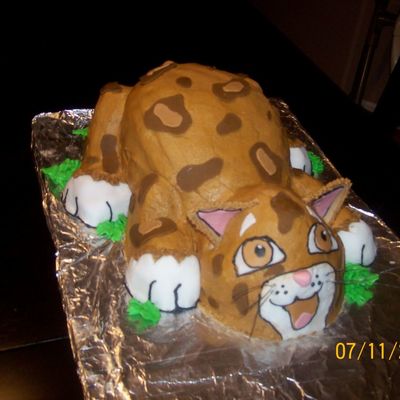 Baby Jaguar (Go Diego Go)