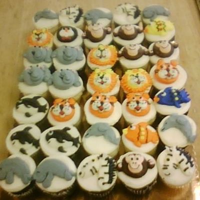 Zoo Cupcakes