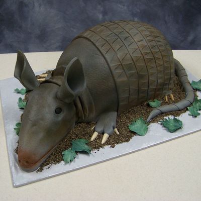 Armadillo