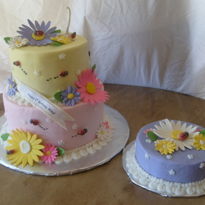 Daisies And Ladybugs!