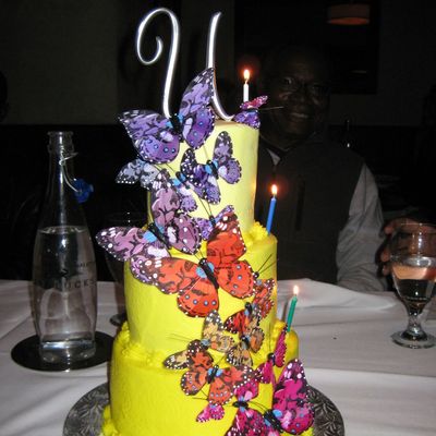 Butterfly Cake