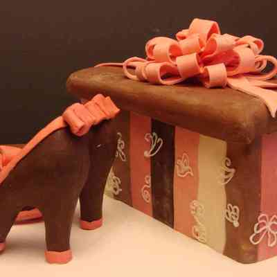 Pink And Brown Pumps And Shoebox