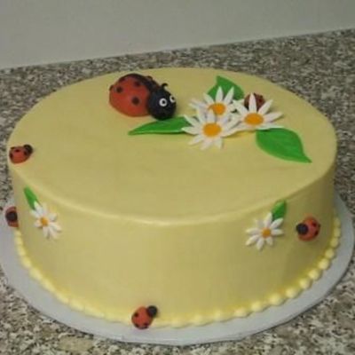 Ladybugs And Daisies