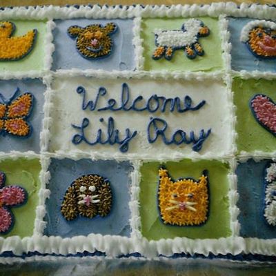Lily's Baby Shower Cake