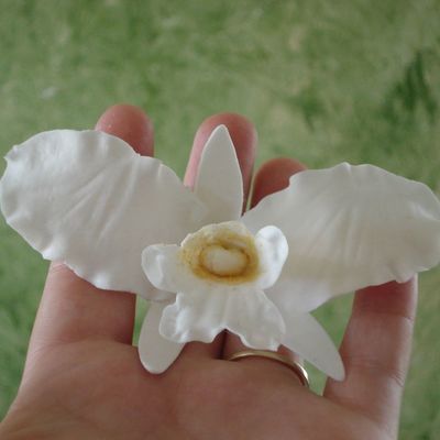 Gumpaste Orchid