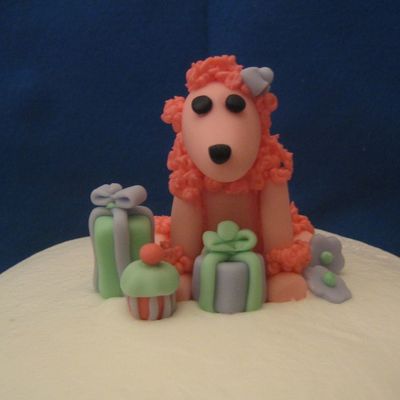 Abby's 1St Birthday-Close Up Of Poodle