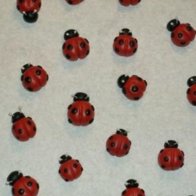 Ladybugs