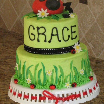 Grace's Ladybug Cake