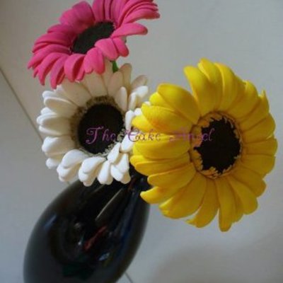 Gerberas