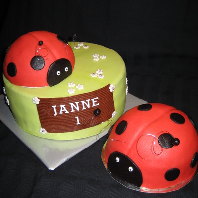 Ladybugs