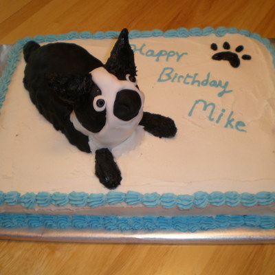 Boston Terrier Cake