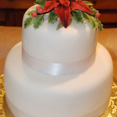 Christmas Engagement