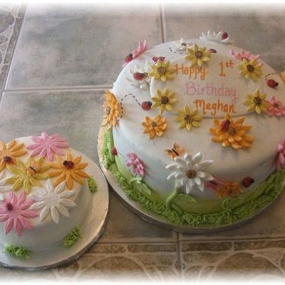 Daisies And Ladybugs