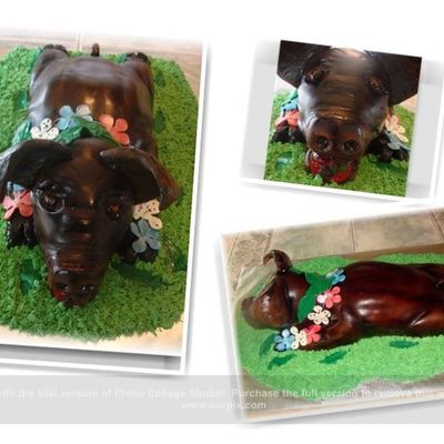 Roasted Pig Cake