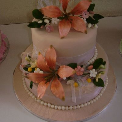 Class Cake - Last Class March 29, 2008 (Second Gumpaste Flowers)