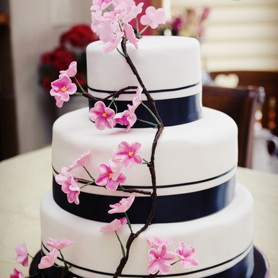 Black And Pink With Apple Blossoms