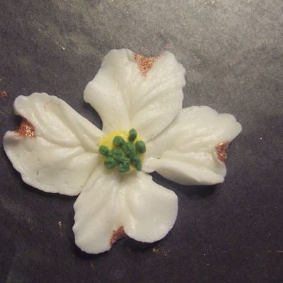 Dogwood