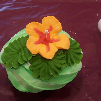 Hibiscus Cupcake