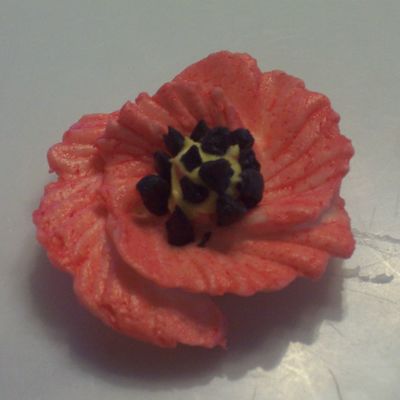 Oriental Poppy