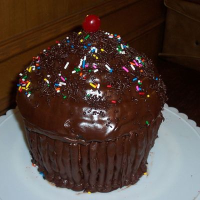 Giant Cupcake