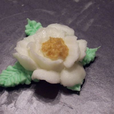Buttercream Gardenia