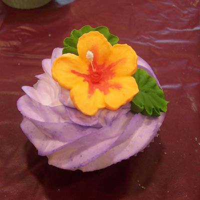 Hibiscus Cupcake